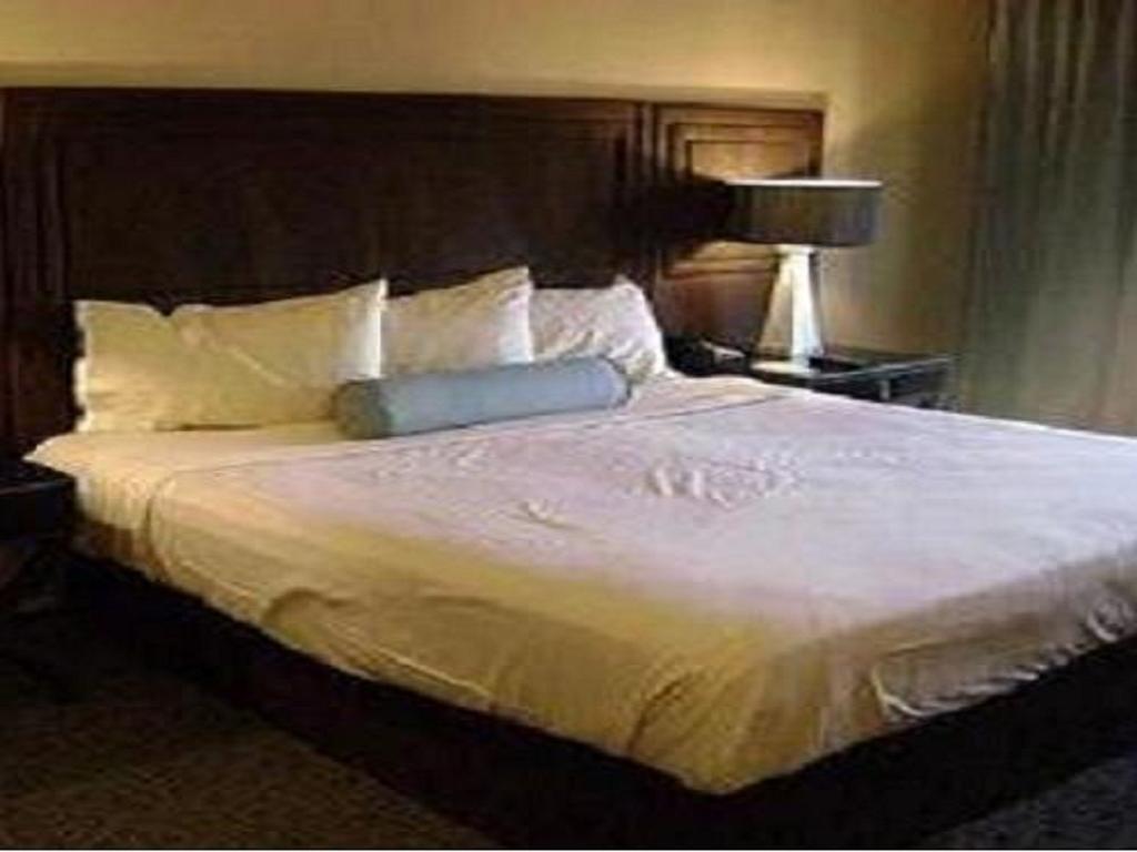 Hotel Sagar Castle Ratlam Bilik gambar